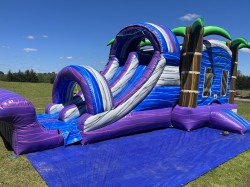 IMG 9409 1721935515 Purple Tropical Bounce House W/Slide