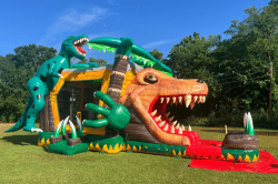 The Dinosaur Bounce House W/Slide